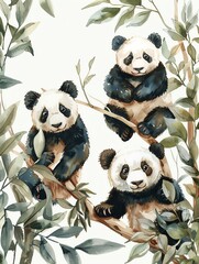 China, pandas in China