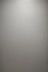 This image features a high-resolution, gray gradient background. It&rsquo;s plain and smooth, a soft light and abstract backdrop for studio photography.