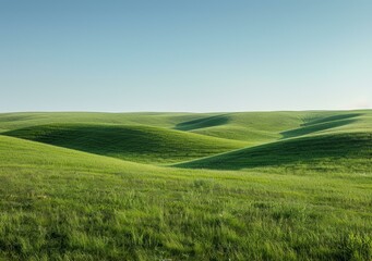 Obraz premium b'Green rolling hills under a blue sky'