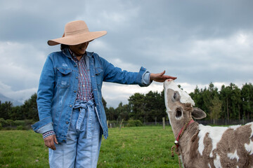 Unrecognizable woman playing with a calf on a day in the Andes countryside