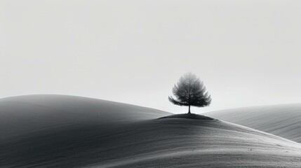 b'Black and white photo of a lonely tree on a hill' - obrazy, fototapety, plakaty
