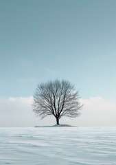 b'Tree in the middle of a snowy field'