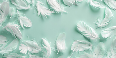 White feathers on turquoise background, peaceful and elegant concept with space for text or image