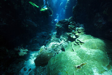 Underwater corridors and caverns near Abu Dabab, Marsa Alam area, underwater photograph, Red Sea,...