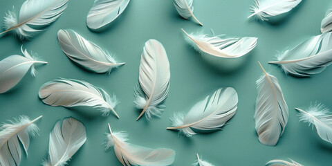 Background of blue with several white feathers, one white feather in the center of the image