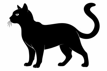 black cat silhouette vector illustration on white background