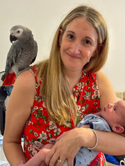A first time mother holding her new born son, her pet African Grey Parrot is perched on her shoulder