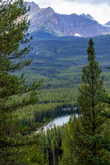 Bow Valley Pkwy Banff National Park Alberta Canada