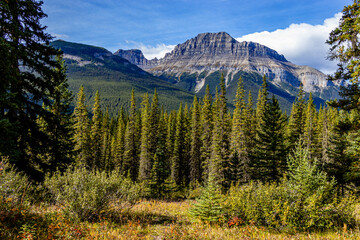 Bow Valley Pkwy Banff National Park Alberta Canada