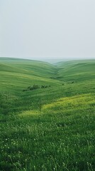 Obraz premium b'Green rolling hills stretch into the distance'