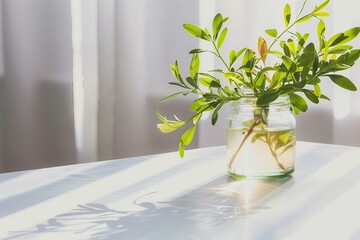 Morning spring still life, plants ruscus branches in a jar of water. generative ai.
