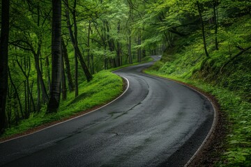 Beautiful empty asphalt road in a green forest. AI generative
