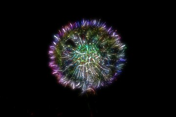 Fototapeta premium dandelion in the meadow