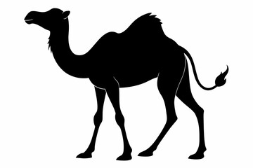 black camel in desert silhouette vector illustration on white background
