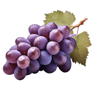 grappe de raisin de table, isol&eacute; sur fond transparent