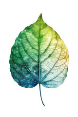 Obraz premium Green leaf isolated on white, surrounded by nature, symbolizing solitude and freshness, close-up shot in a garden, representing the beauty of greenery in different seasons
