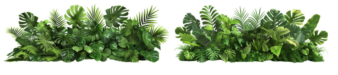 Tropical leaves foliage plants bushes isolated on white or transparent background. 3d rendering
