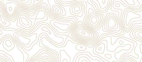 Abstract wave paper curved reliefs background .gradient multicolor wave curve lines banner background design .topographic contours map background .Vector geographic contour map.