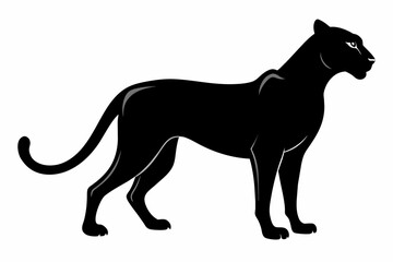 black cheetah silhouette vector illustration on white background