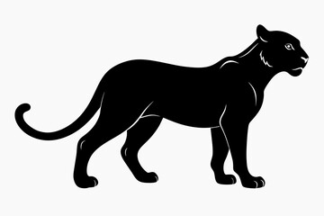 black cheetah silhouette vector illustration on white background