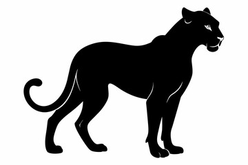 black cheetah silhouette vector illustration on white background