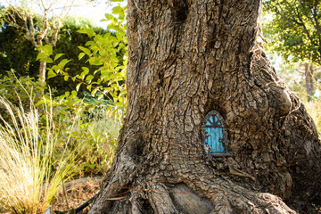 An antique blue wooden door in a tree trunk in summer fall woods. A cabin on the edge of the...