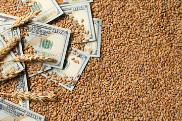 Agricultural business. Dollar banknotes and wheat ears on grains, top view. Space for text