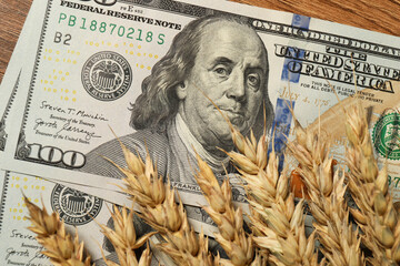 Dollar banknotes and wheat ears on wooden table, top view. Agricultural business