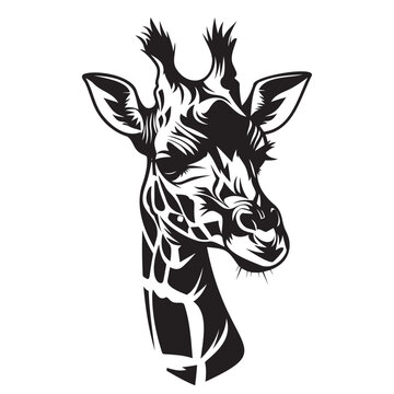 Monochrome image of a giraffe s head with a long neck on a white canvas