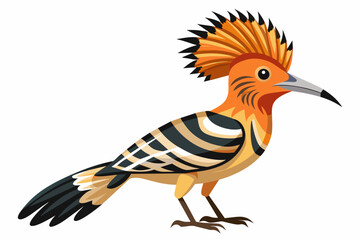  hoopoe bird different style vector artwork illustration 