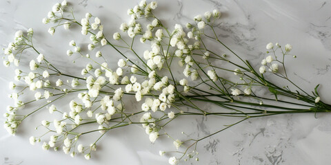 Beautiful White Baby's Breath Flowers Bouquet on White Marble Background for Elegant Floral Arrangements and Decorations