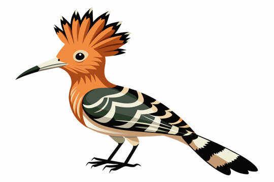 recommend clip art:  hoopoe bird different style vector artwork illustration 