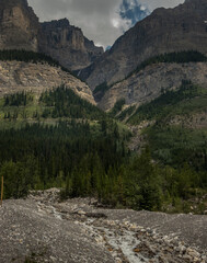 Roadside run off Ice Fields Parkway Banff National Park Alberta Canada