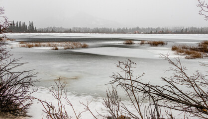 Snowy blowy day at Vermillion Lakes, Banff National Park, Alberta, Canada