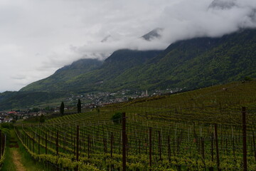 Blick nach Kaltern in Südtirol an einem wolkigen Tag 