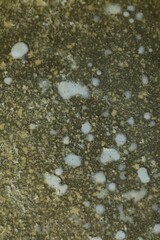 Fototapeta premium Tasty melted butter, top view. Dairy product