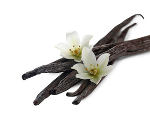 Vanilla pods and flowers isolated on white