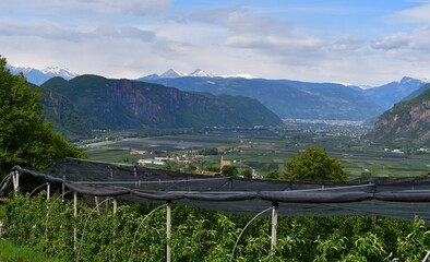 Blick von Montan in Südtirol nach Bozen
