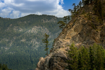 Trees cling to the rocks Banff Windermer HWY Kootenay National Park British Columbia Canada
