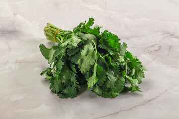 Fresh green cilantro branches heap