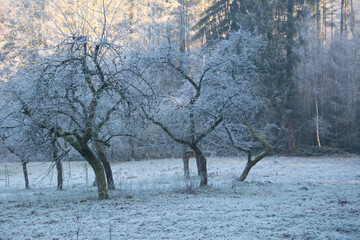 Landschaften