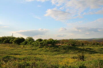 A grassy field with trees and blue sky
