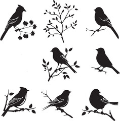 birds on a branch