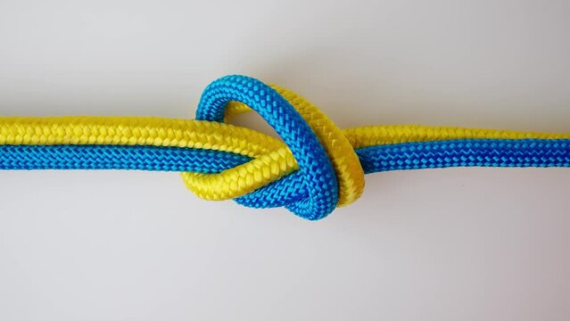 Yellow and blue colored ropes twisted and tied up creating knot, isolated on white background, close up shot. Two ropes tied in a knot, top view.