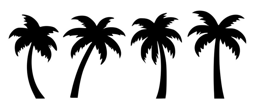 palm or coconut trees vector illustration set on white background. (eps). nature, relaxation, peace, luxury, elegance concept. 