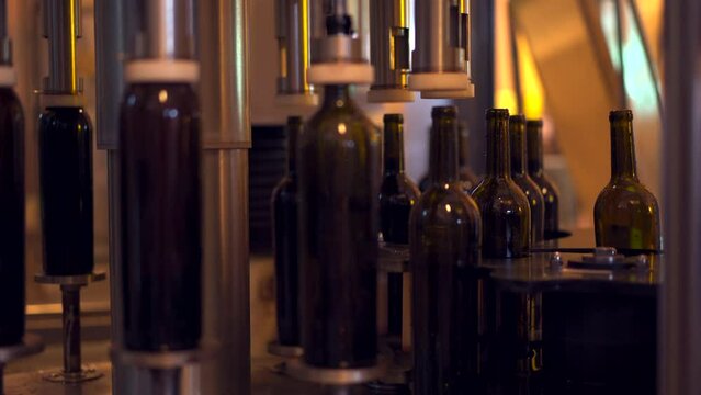 Automatic beverage bottle filling in factory. A wine bottles on conveyer moving.
