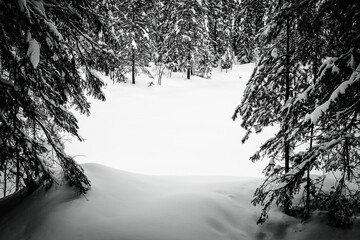 Images from the Myrsjoen Lake and its surroundings, part of the Totenaasen Hills, a winter day in...