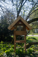 wooden bird feeder in the park