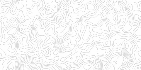 Vector geography landscape Topo contour map on white background, Topographic contour lines. Seamless pattern with lines Topographic map. Geographic mountain relief diagram line wave carve pattern.