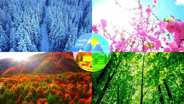 Spring, Summer, Summer, Winter. Four Seasons Landscape